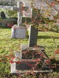 image of grave number 950031